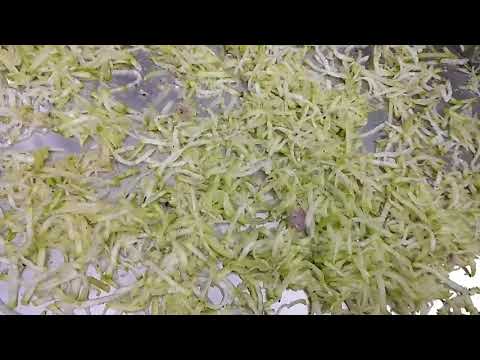 1HP VEGETABLE CUTTING MACHINE