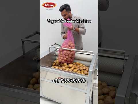 VEGETABLE PEELER MACHINE ( BRUSH TYPE )